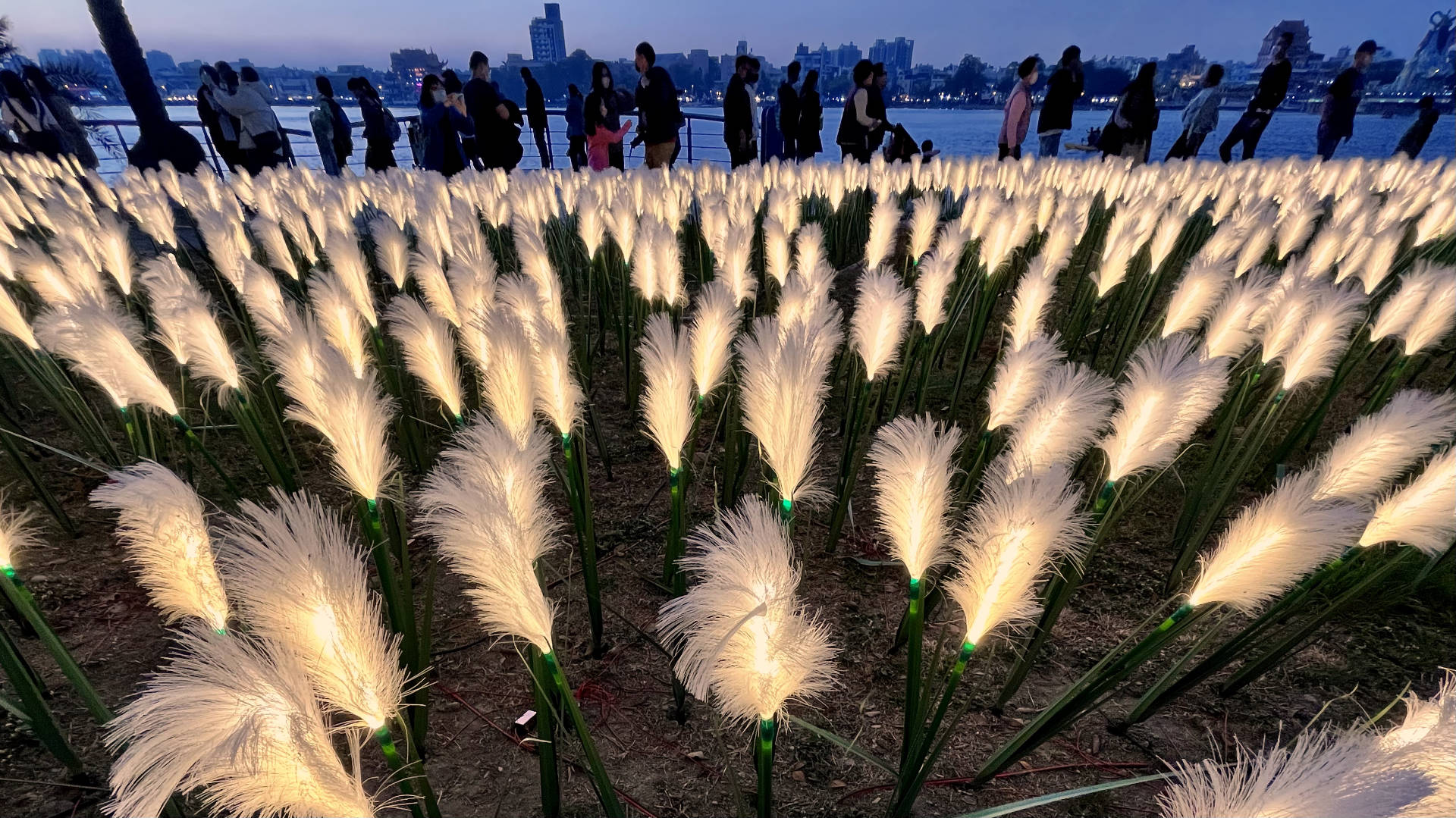 A field of artificial reeds, internally illuminated, with people walking past the lake in the background.