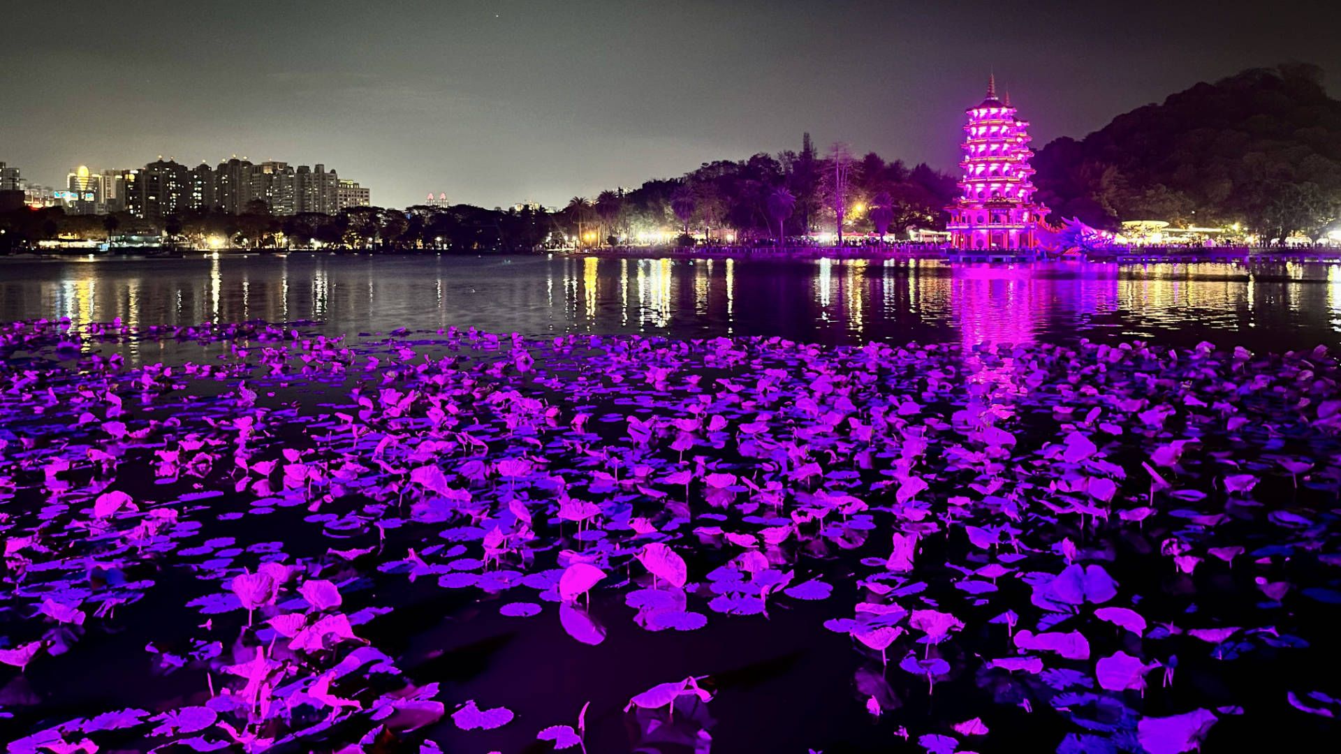 Lotus Pond, with lotus leaves in the foreground colored pink by the nearby lights.