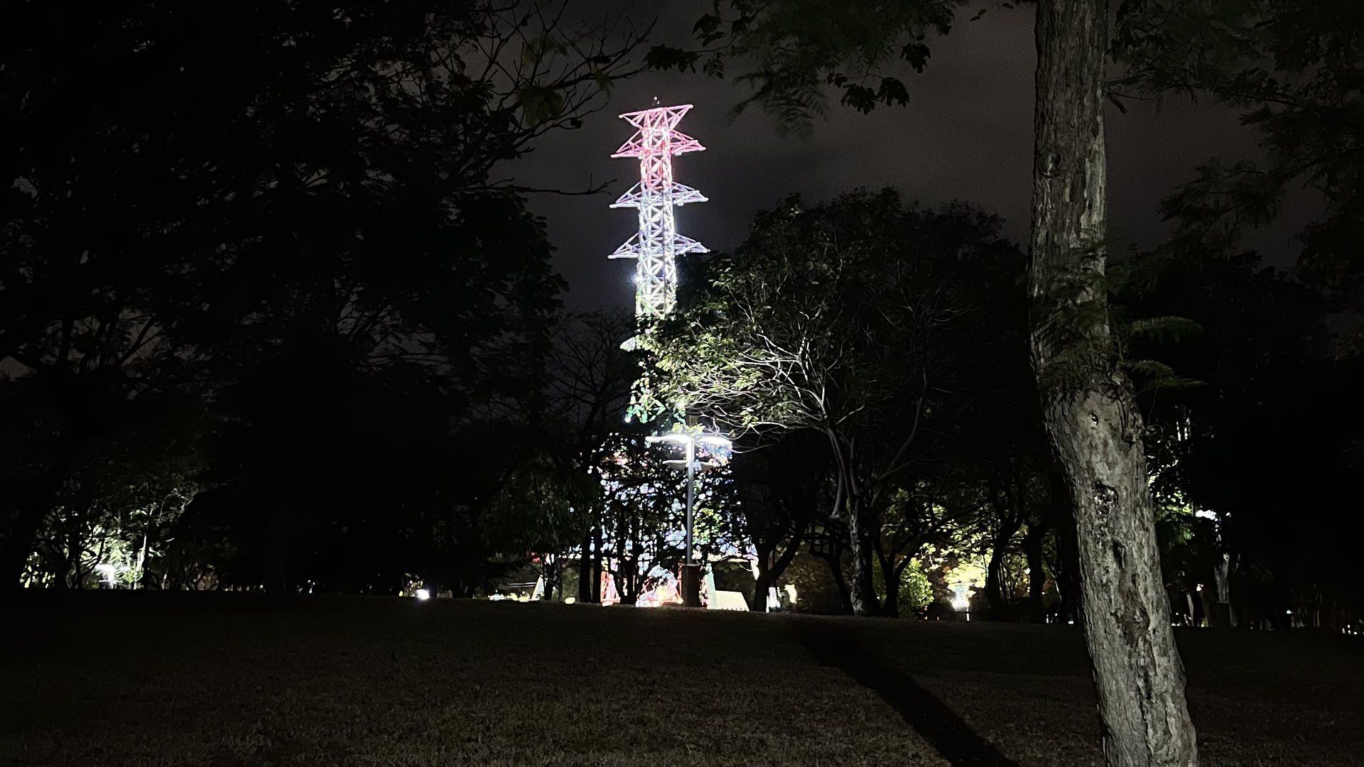 An illuminated pylon visible through the trees.