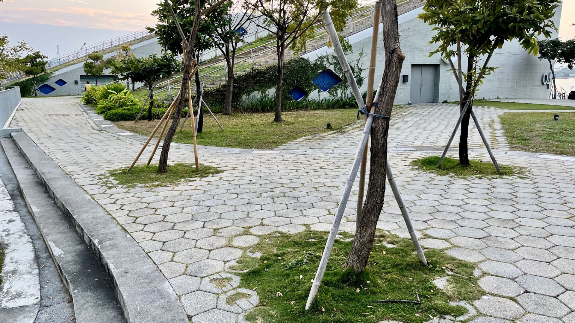 Trees supported by bamboo poles, with wedge-shaped concrete buildings in the background.