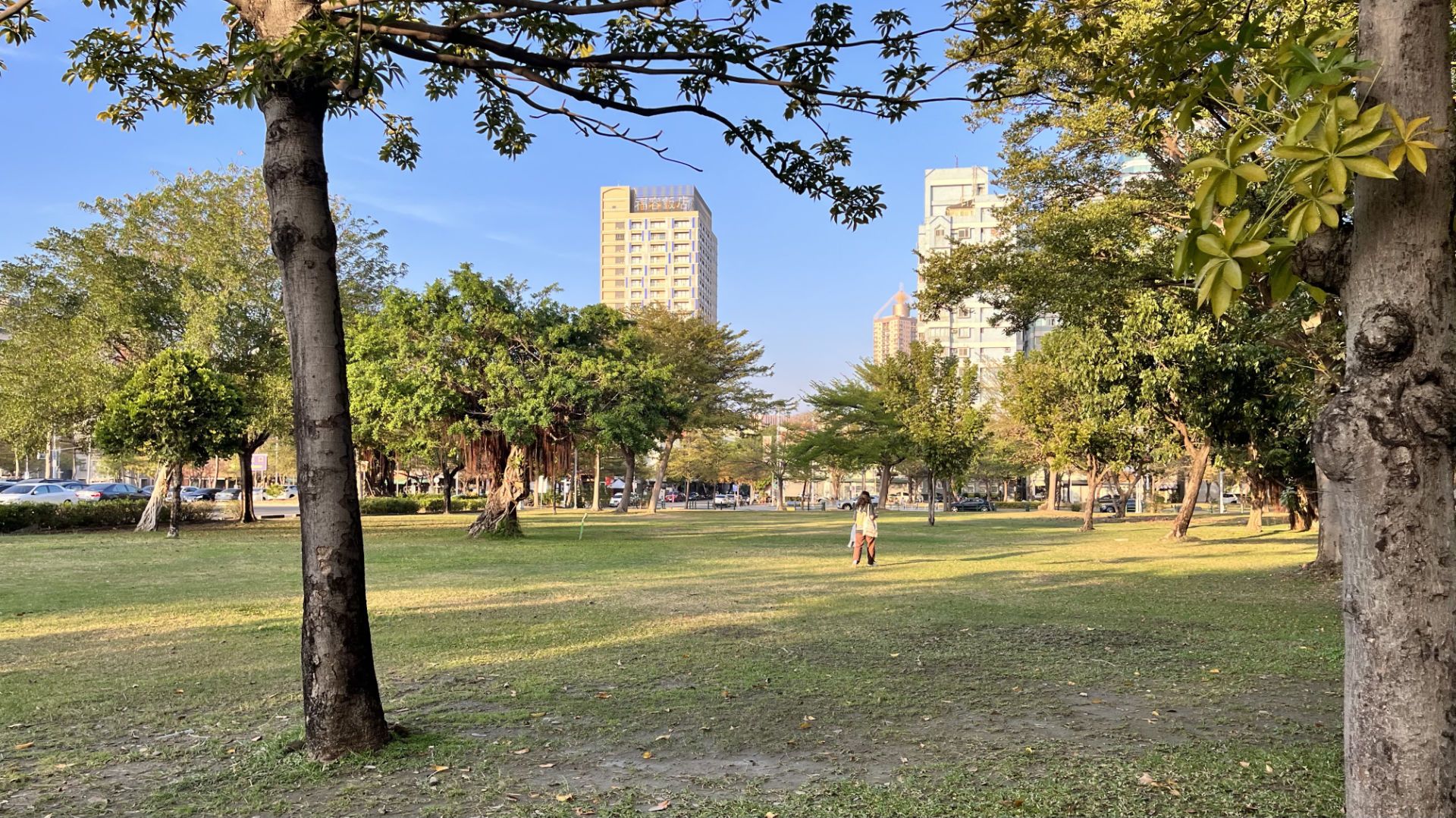 A woman walks across short grass in a park, with skyscrapers in the distance.