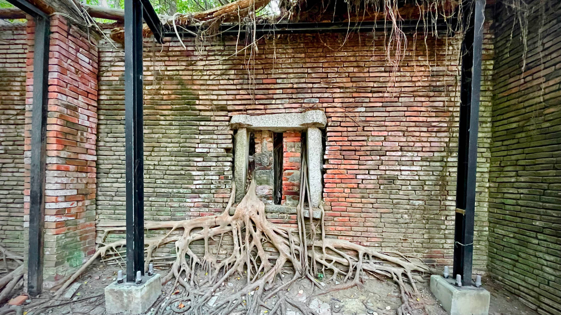 A roofless brick room with tree branches and roots growing through the window and along the walls and floor.