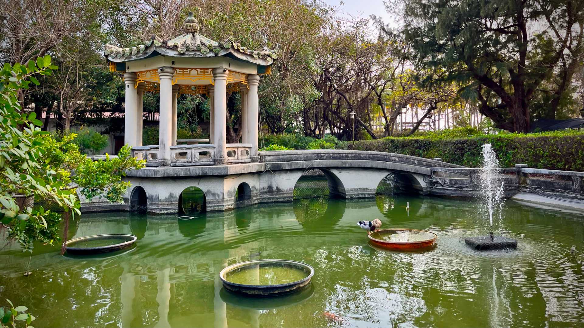 A fish pond with arched bridge and pagoda in the middle, and a fountain at right. The pond is surrounded by a green hedge and trees.