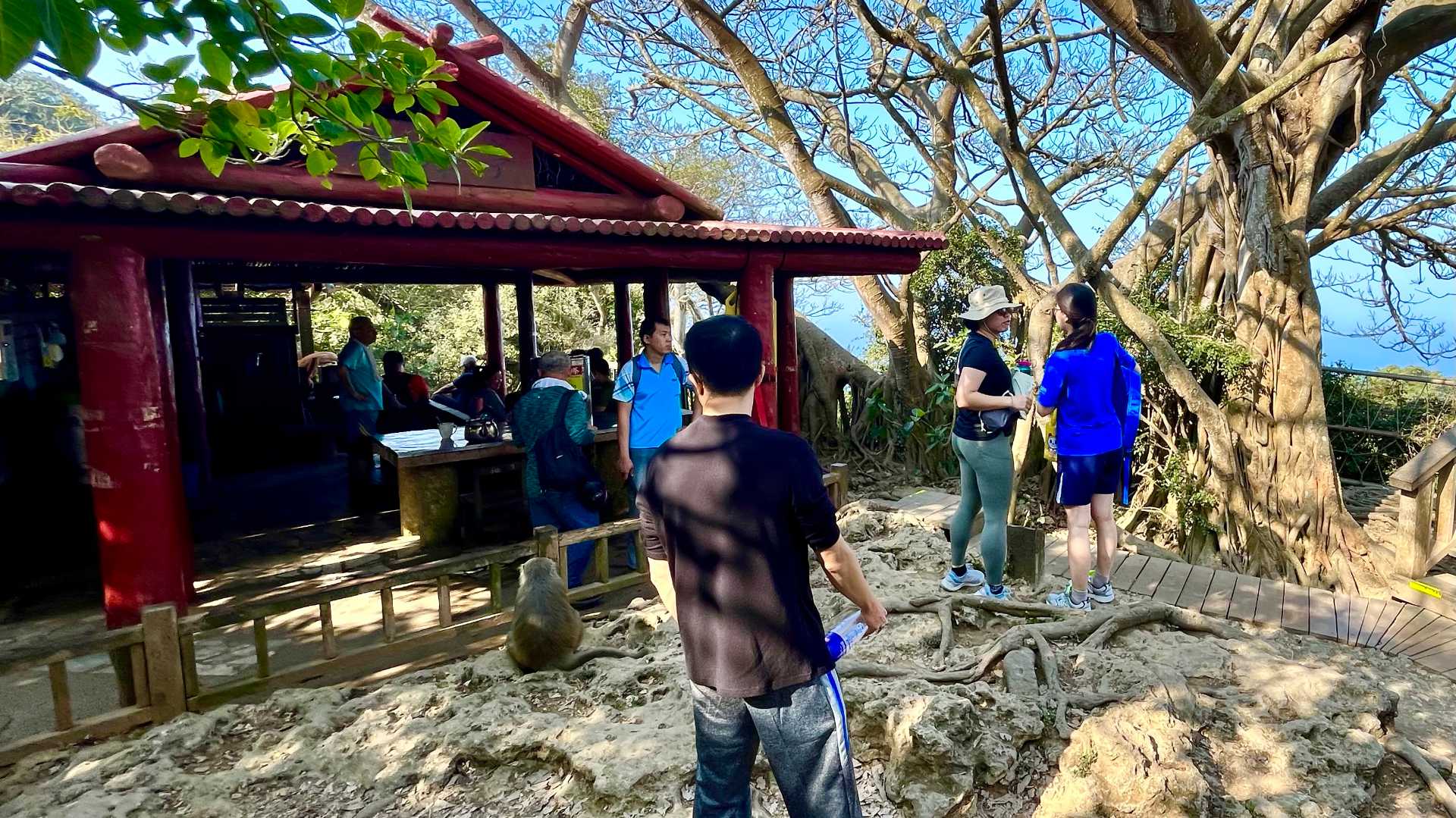 A mountaintop pavilion with people making tea inside. A bunch of people are gathered around, and one monkey is sitting watching.