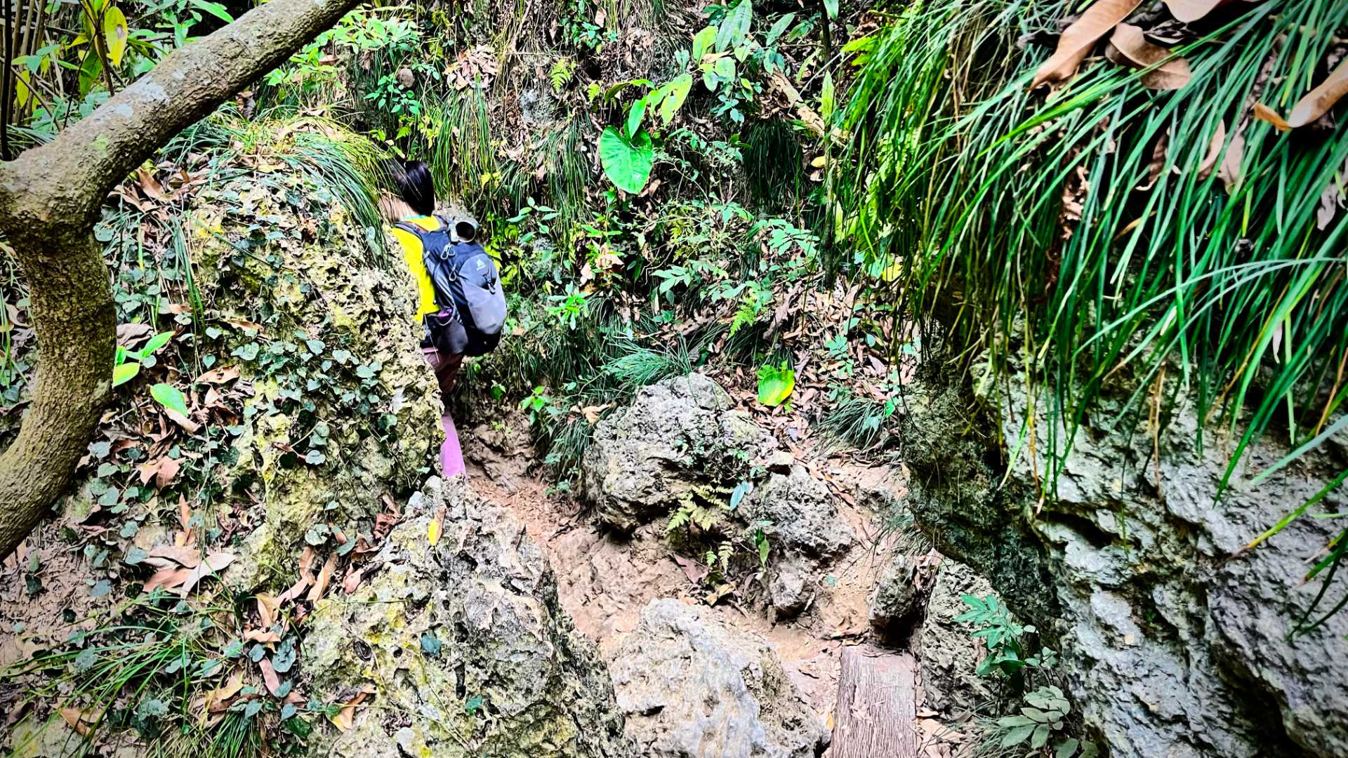 A woman squeezes between two boulders covered in vegetation, on a narrow dirt track.