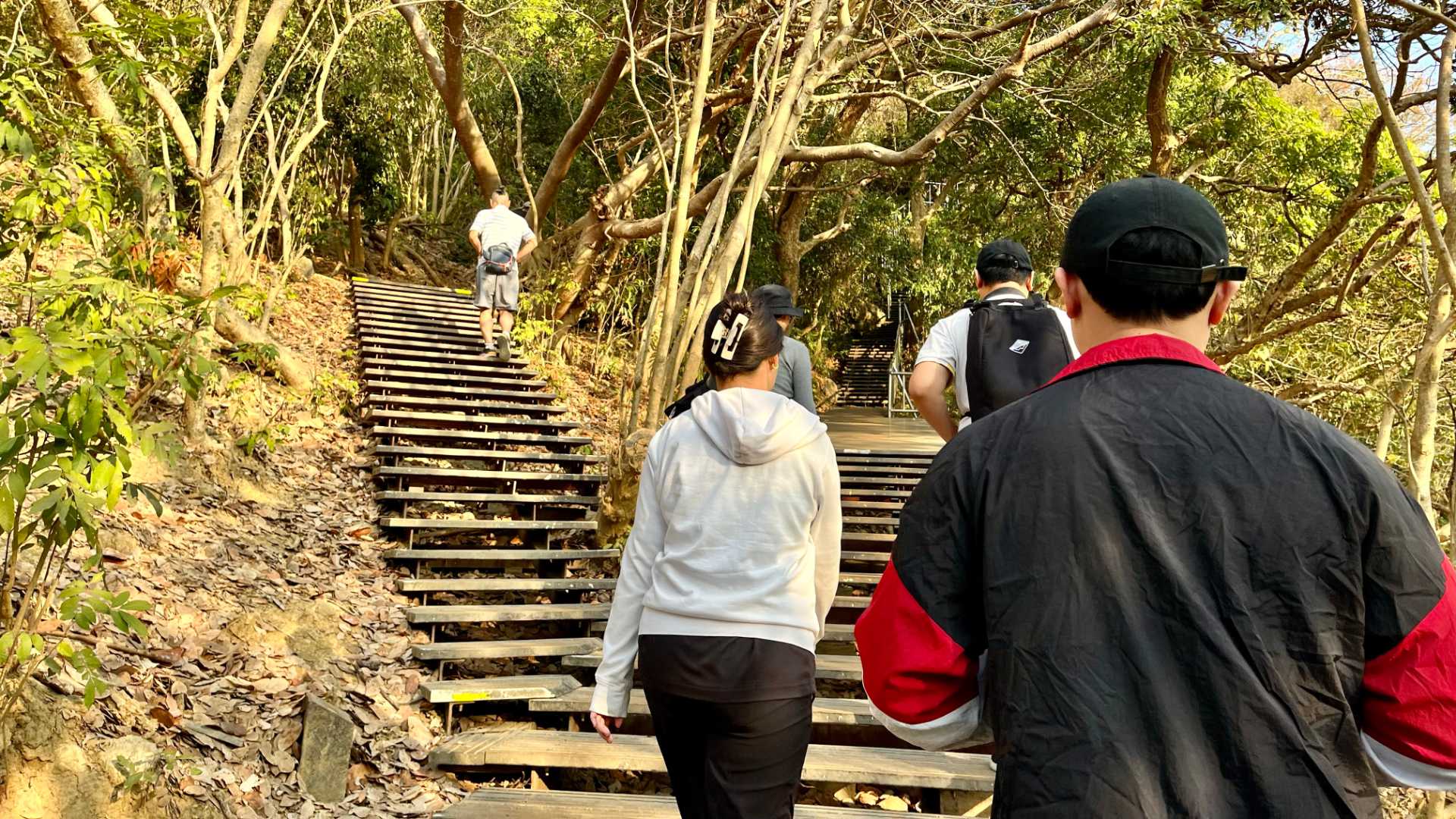 Wooden stairs in the forest diverge into two separate paths. There are a few people climbing the stairs.