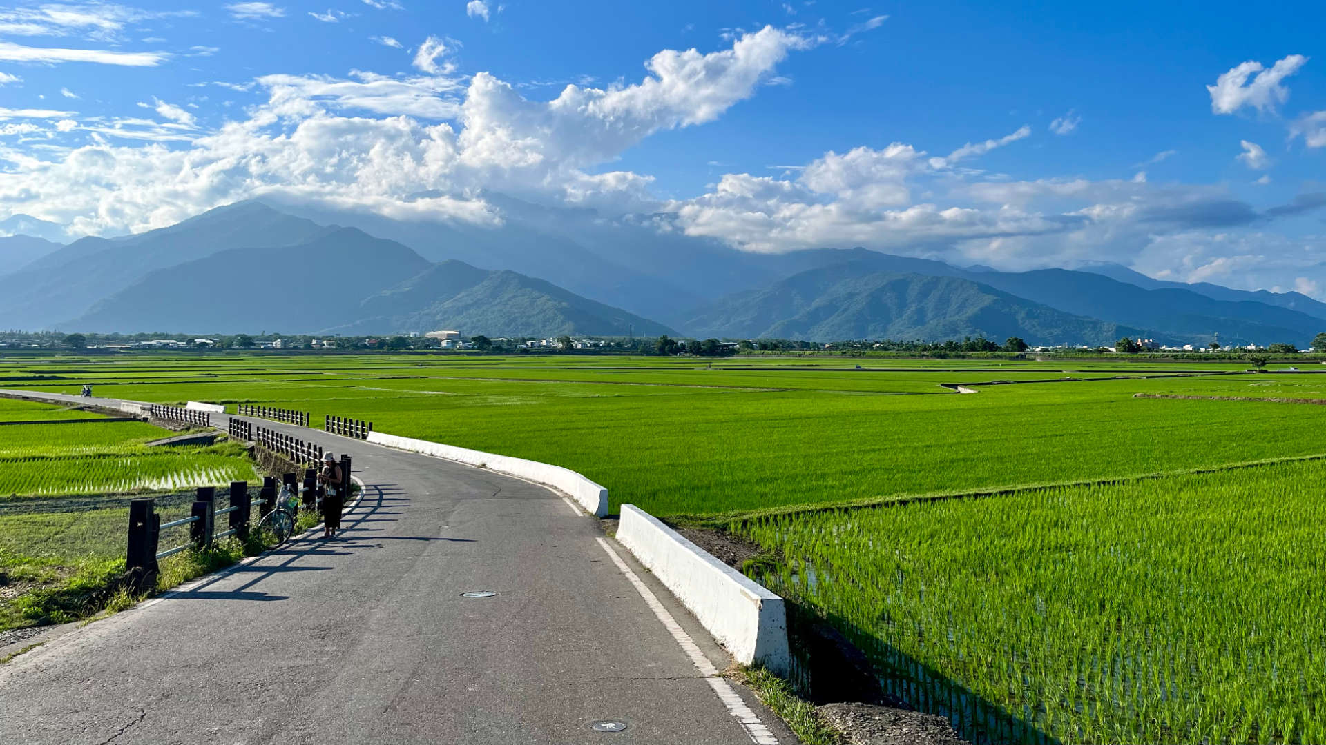 A wide flat valley, with vibrant rice fields stretching to distant mountains. A near-empty road leads through the fields. In the foreground, a lady has parked her bicycle and is looking at her phone.