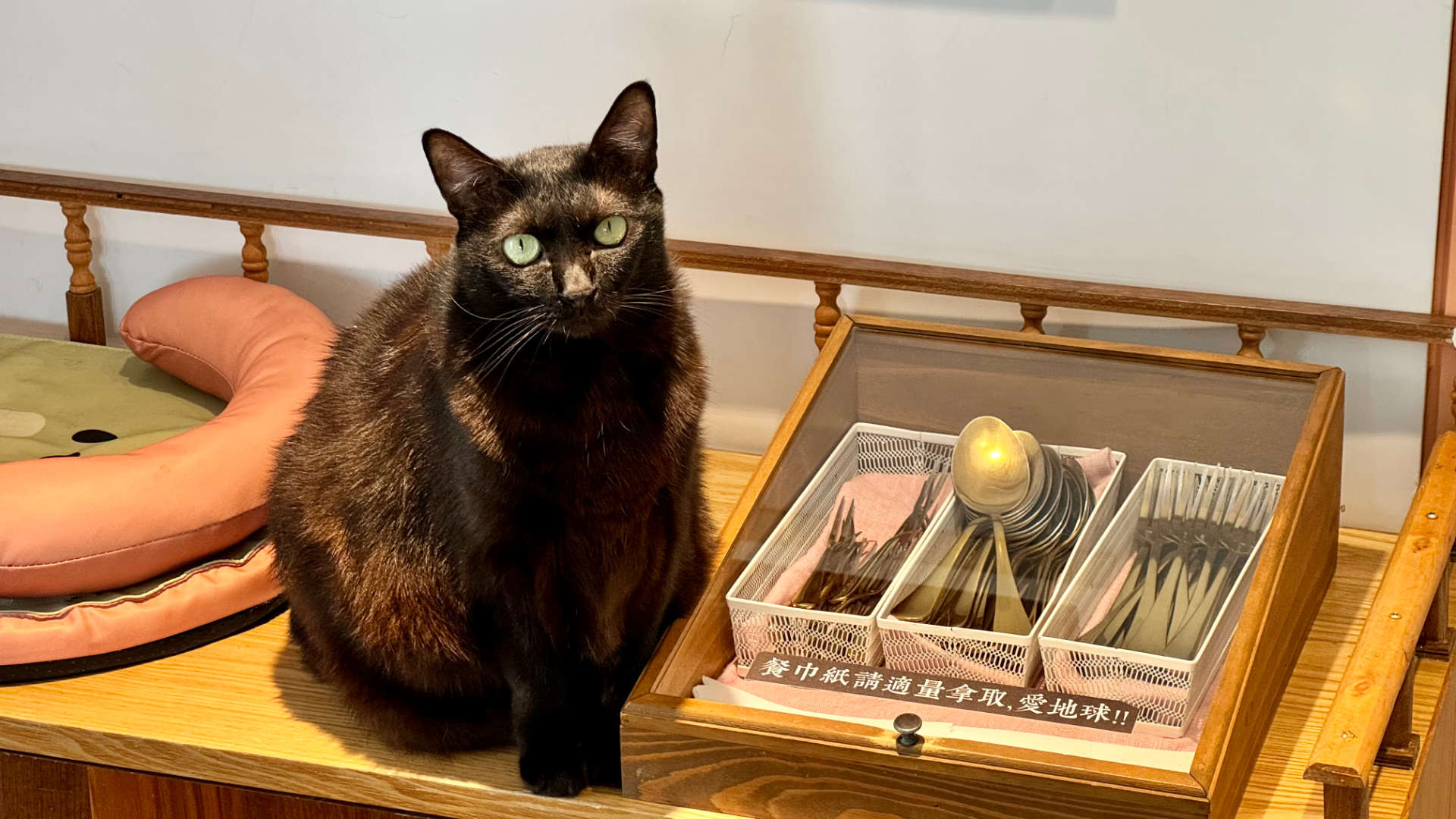 A black cat sitting next to a box of cutlery.