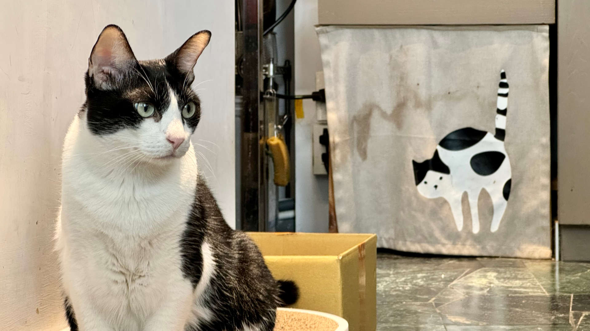 In the foreground is a cat sitting on the floor. In the background is a stylized painting of the same cat, on the front of a cupboard.