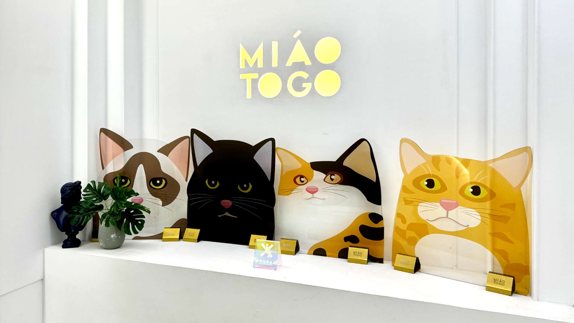 Four perspex cartoon-like cats resting on a shelf, under the Miao To Go logo.