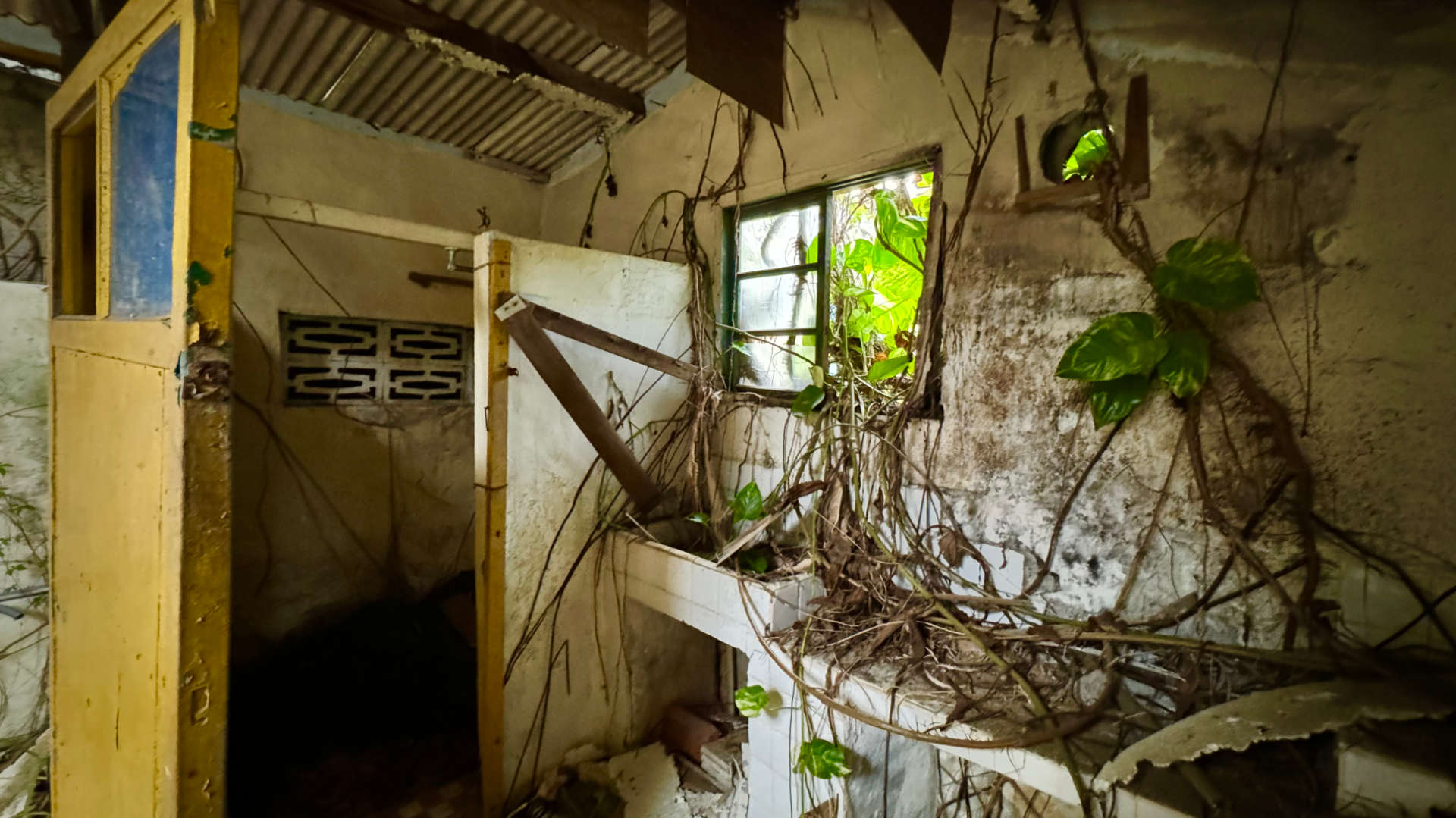Interior of an abandoned house. Some roof supports have collapsed and there are vines growing through the windows.