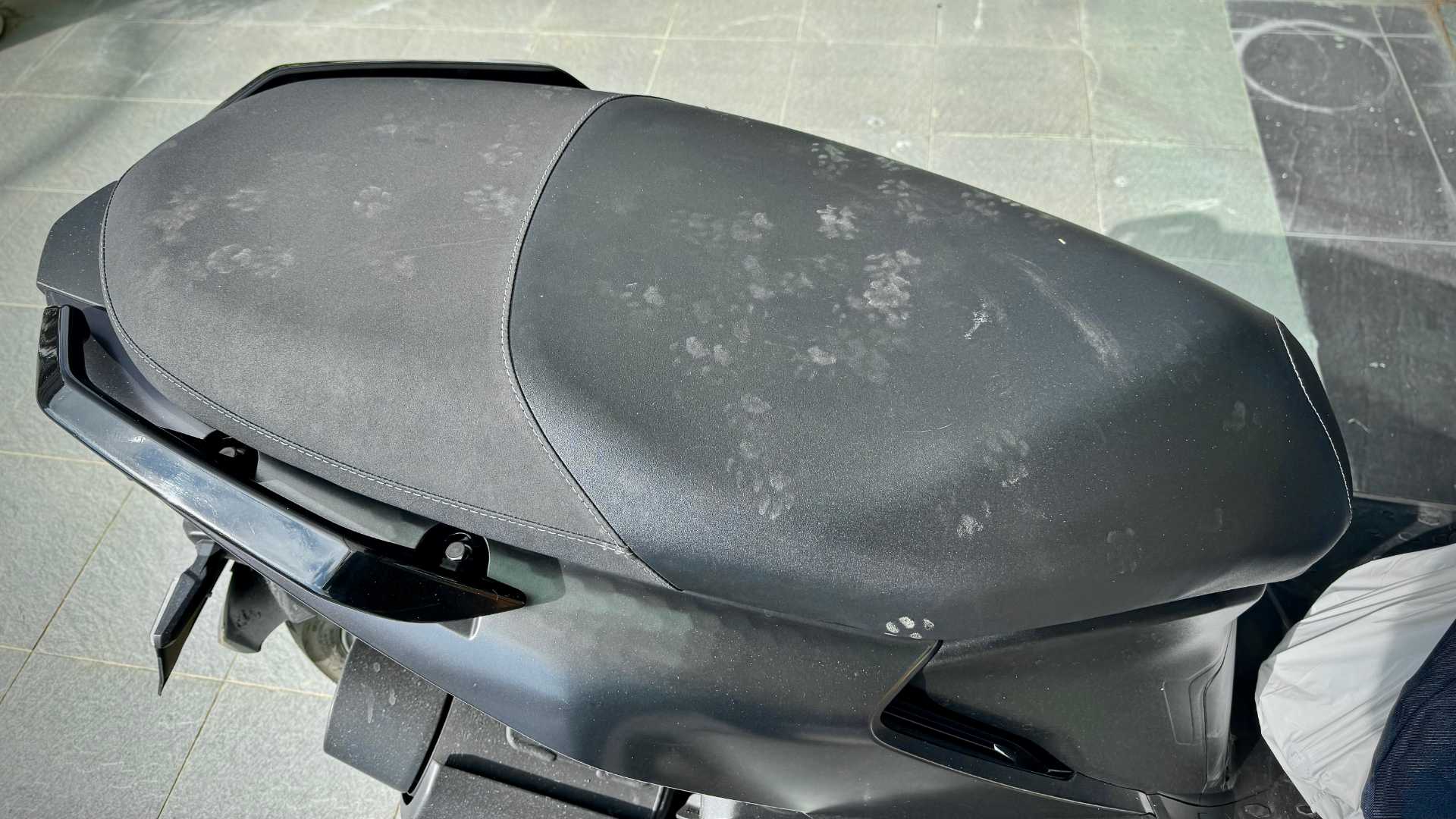 Numerous cat paw prints on a black scooter seat.
