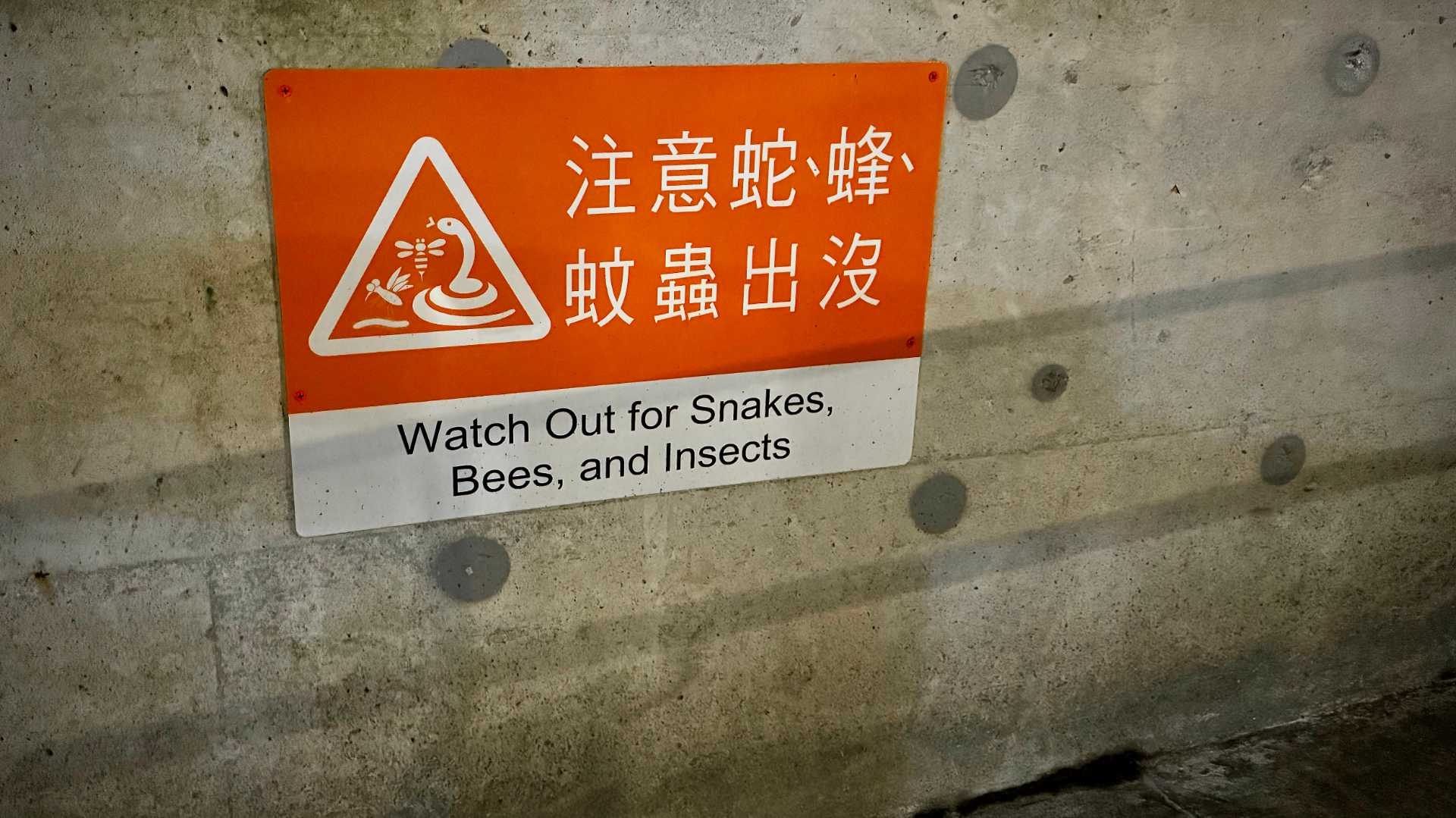 A sign that says ‘Watch Out for Snakes, Bees, and Insects’.