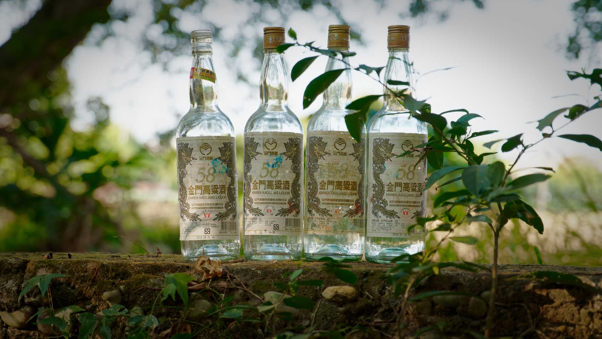 Four empty bottles of Kinmen Kaoliang Liquor aligned to face the camera on a low stone wall.
