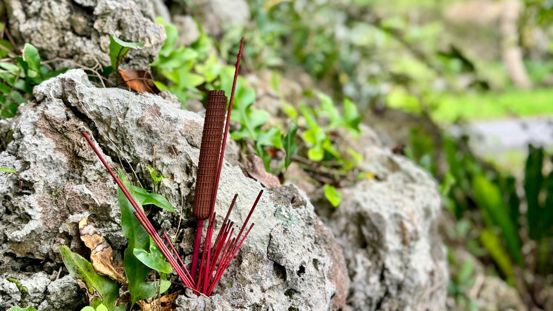 Partially-burned joss sticks stick in a crevice in some rock.