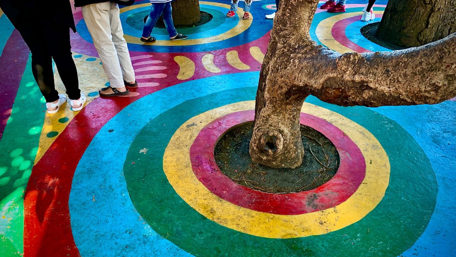 Colorful concentric circles painted on the concrete ground surface around a tree that is growing through a hold in the concrete.