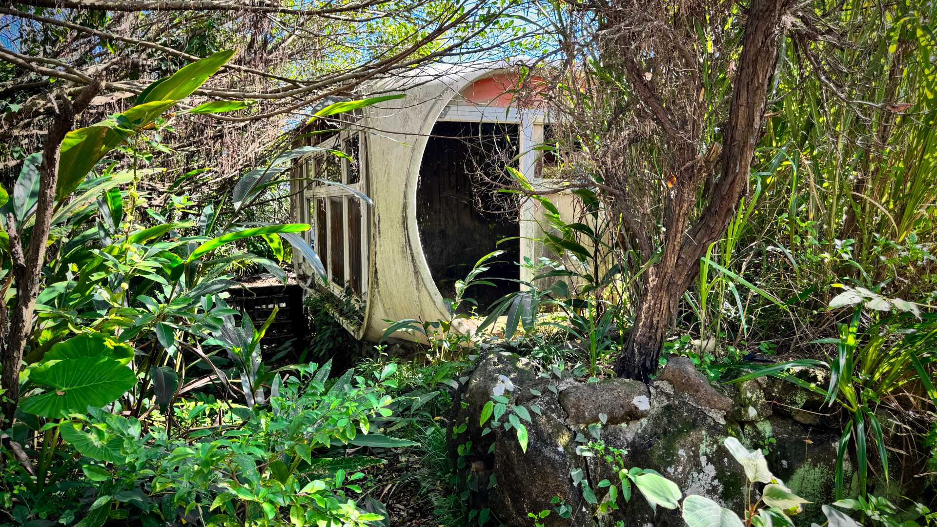 A derilect Venturo house in a jungle.