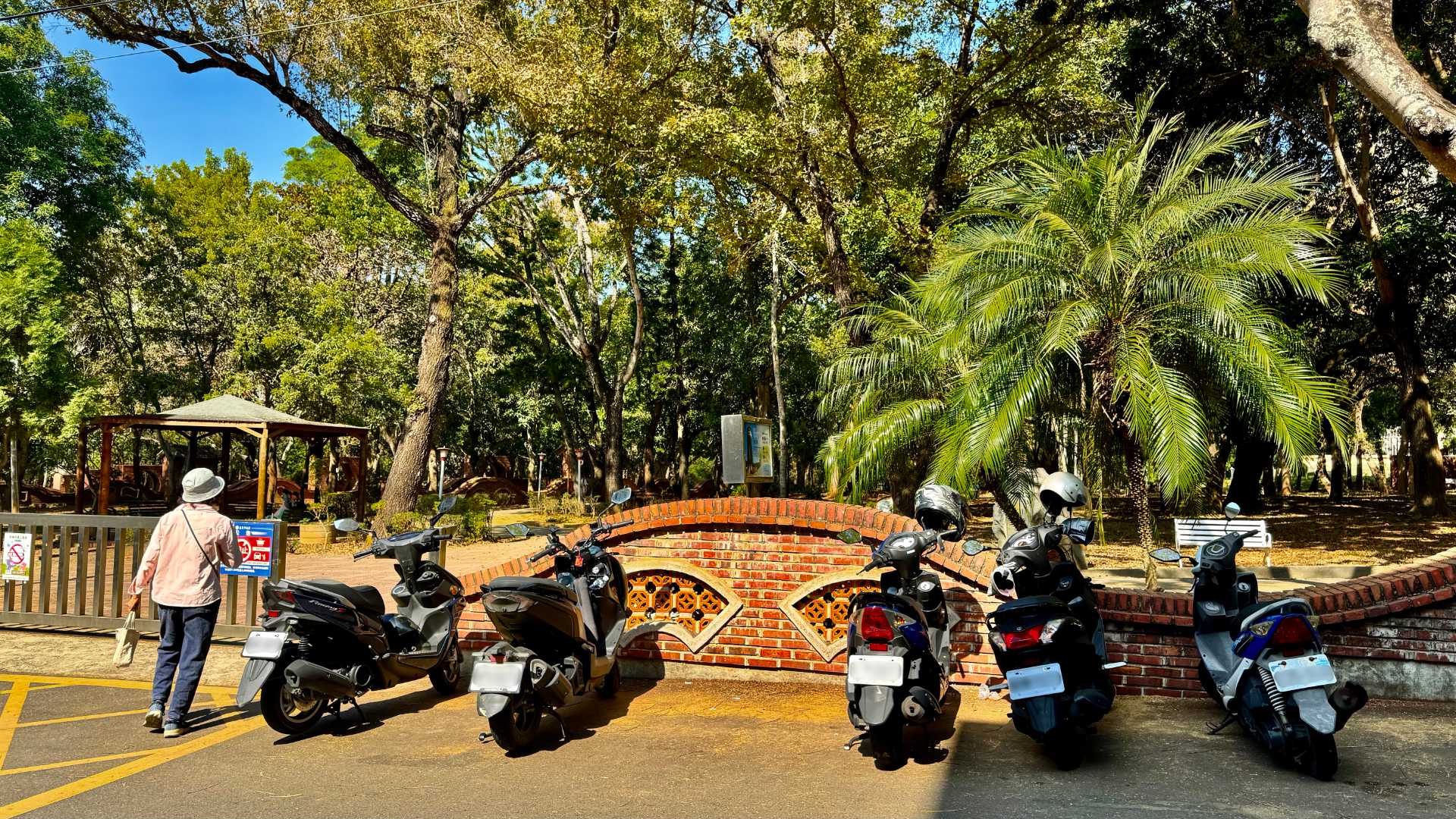 Five scooters parked outside Chiayi Park.  The park comprises flat grassy areas and many tall trees, with some palms nearer to the camera.