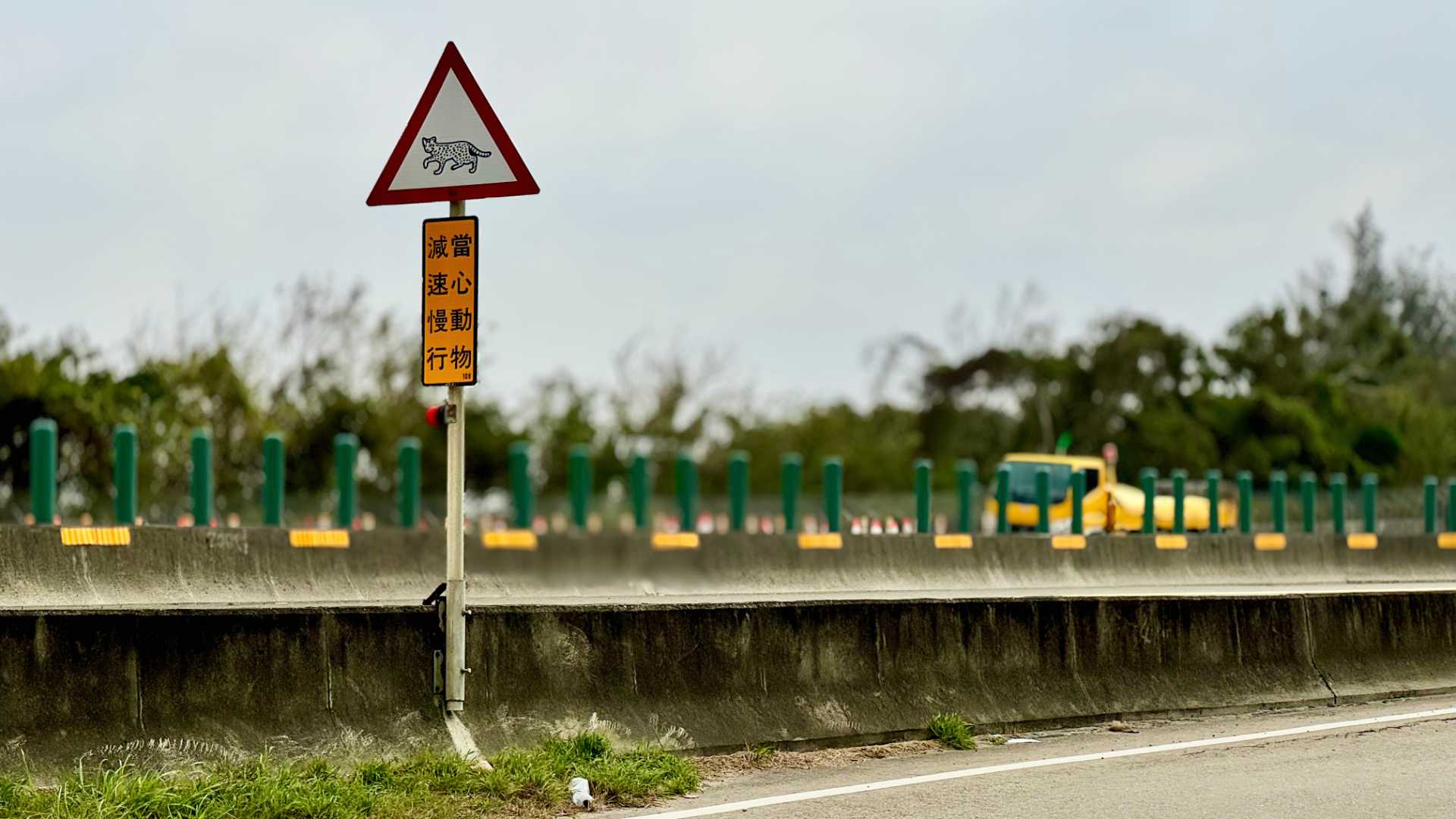 A Taiwanese road sign warning of Taiwan leopard cats ahead.