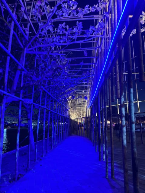 A 700-meter-long bamboo structure with a dirt walkway through the middle and trees overhead.