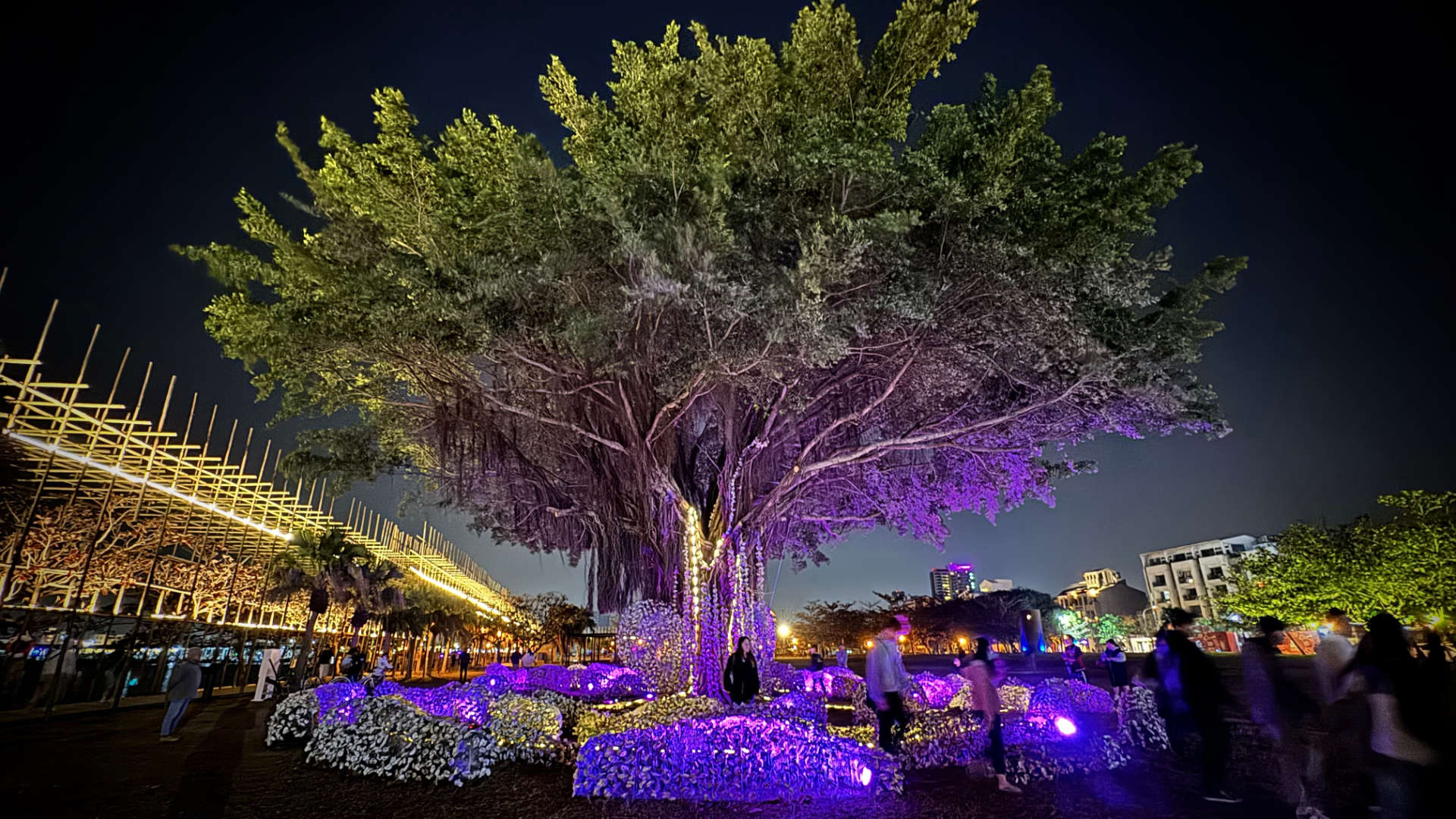 Around the base of a large tree, shapes made of thousands of shells are illuminated as people walk amongst them.