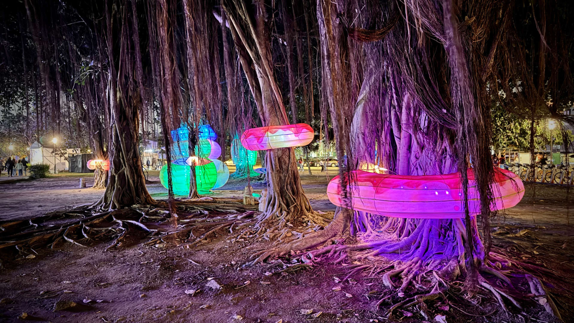 Time Bagel art installation: bagel-shaped lanterns wrapped around some tree trunks.