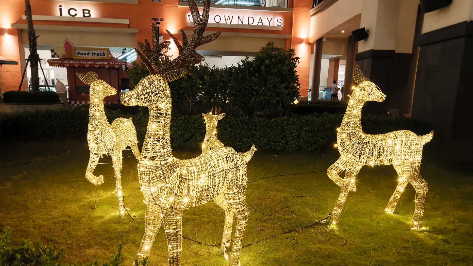 Four reindeer sculptures lit with hundreds of tiny lights.