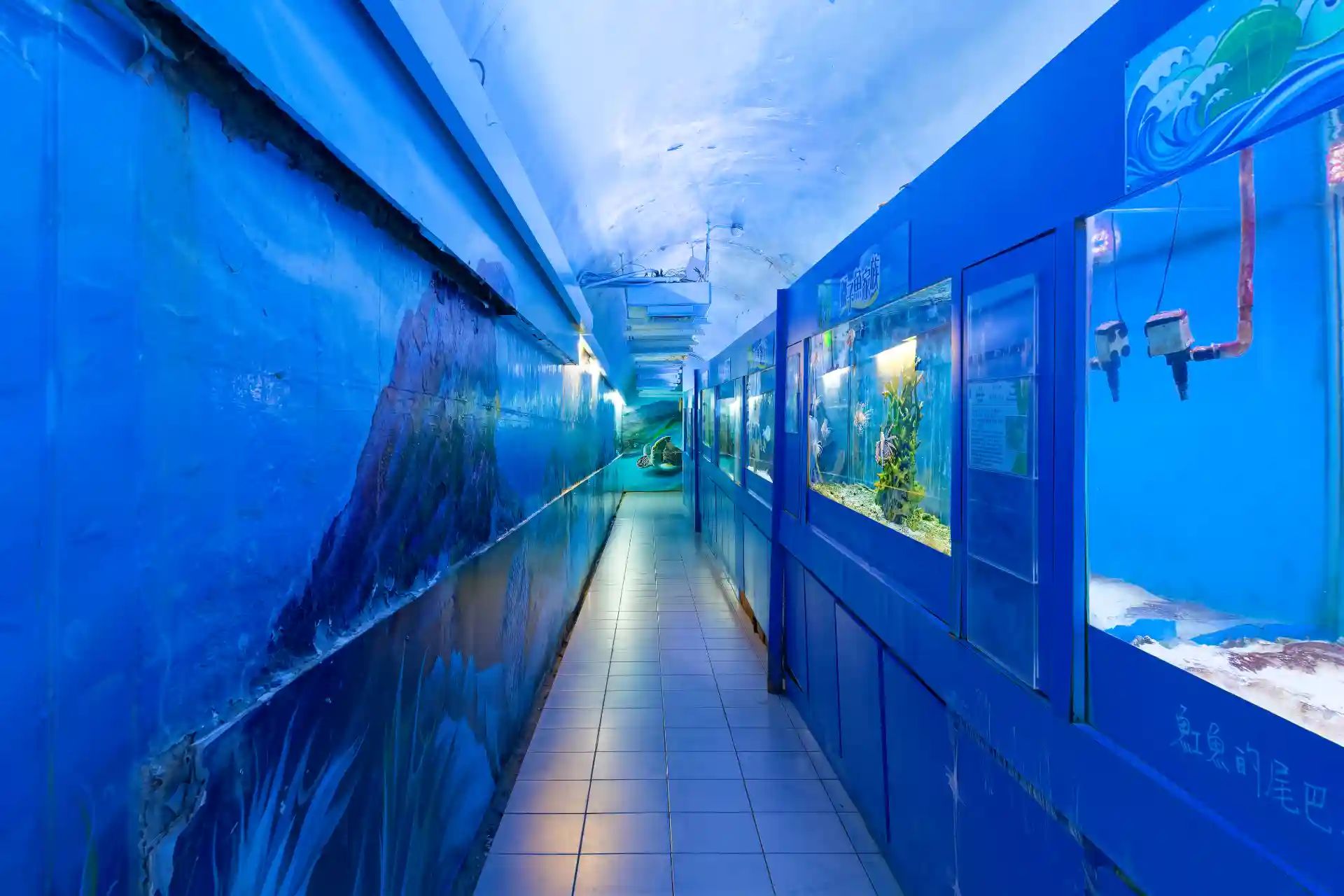 A long narrow tunnel with arched roof. Walls are painted with sea life murals, and a series of fish tanks stretch down the right-hand side.