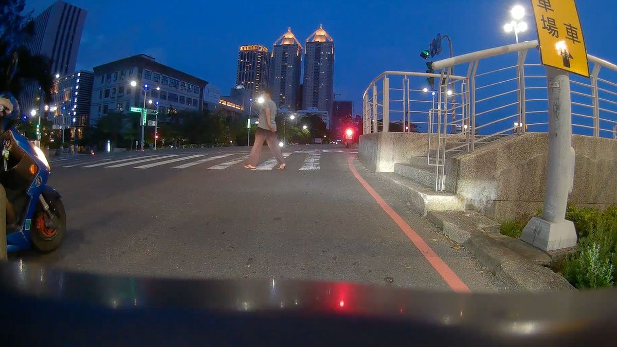 A plan and a crab crossing a road on a zebra crossing.